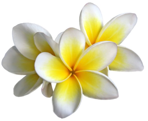 Масло баттер Моной (Тиаре)  