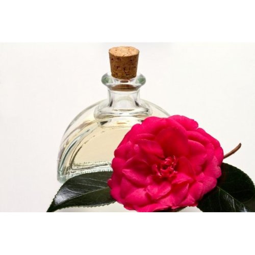 Масло Камелии (сасанквы японской) рафинированное  